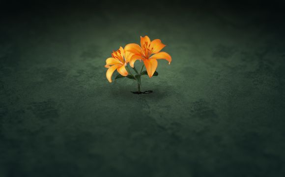 冰箱320升是多少钱